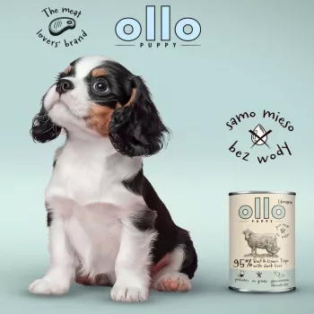 OLLO Puppy Umami Beef and Green Tripe with Duck Liver - märg koeratoit - 400g