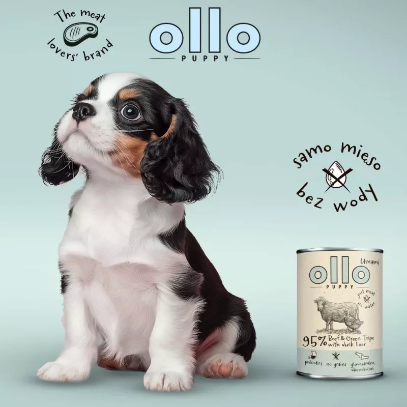 OLLO Puppy Umami Beef and Green Tripe with Duck Liver - märg koeratoit - 400g