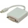 Mini Displayport/DVI kaabel ShiverPeaks valge