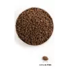 ORIJEN Regional Punane Cat - kuiv kassitoit - 340 g