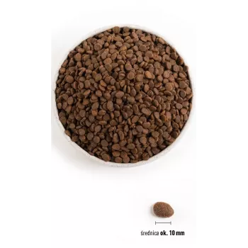 ORIJEN Regional Punane Cat - kuiv kassitoit - 340 g