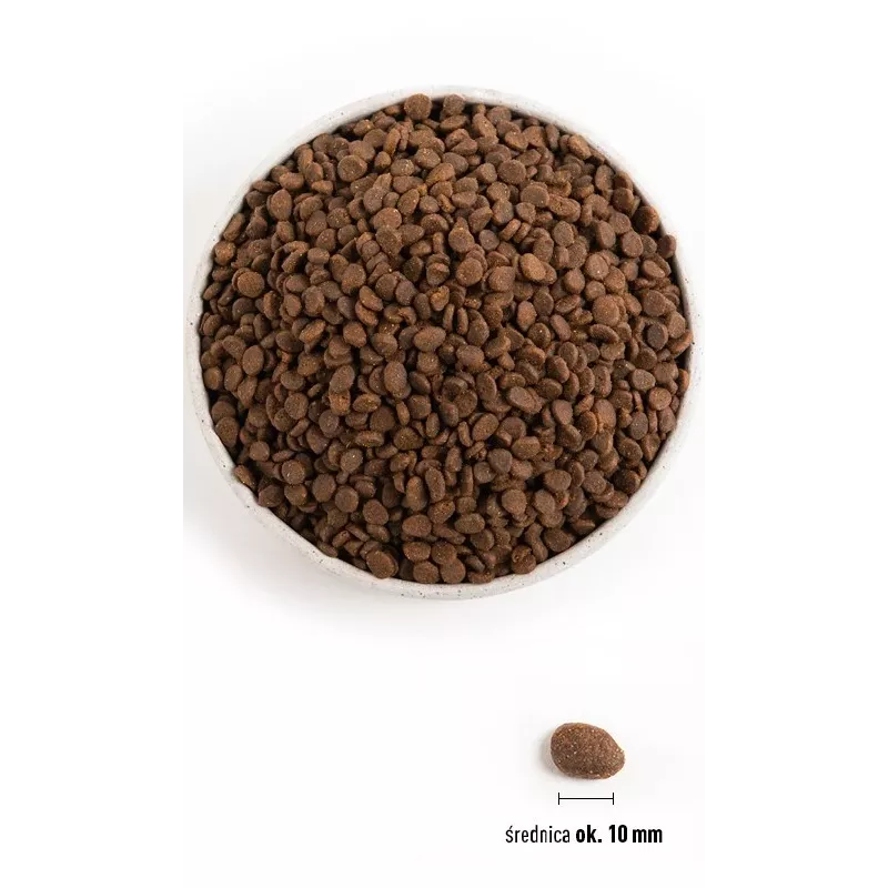 ORIJEN Regional Punane Cat - kuiv kassitoit - 340 g