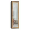 Top e shop DUO SZAFA ANT/ART KP — 1 uks, 2 riiulit, 500×350×1800 mm