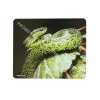 Natec NPP-0936 Toode Valge
