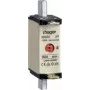 Hager LNH0160MK. Laius: 30 mm, kõrgus: 79 mm (LNH0160MK)