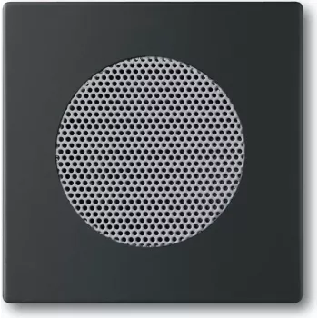 Seinaplaat / lülitikate Busch-Jaeger 8200-0-0126 — must, tavaline disain, 63×63 mm