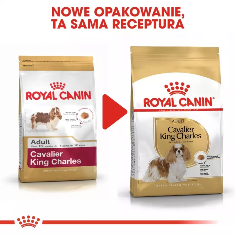 Kuiv koeratoit Royal Canin Cavalier King Charles Adult 1.5 kg — Kana, Väikest tõugu, Nahk ja karv, Südame tugi