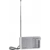 Panasonic RF-P150DEG Kaasaskantav Analoograadio Hõbedane
