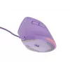 NATEC Crake 2 Pro hiir Universaalne Paremakäeline USB Type-A Optiline 12800 DPI