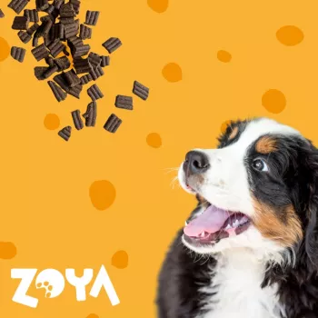 Kuiv koeratoit ZOYA ColdPRO Lamb 3 kg — täisväärtuslik täiskasvanud koertele mõeldud kuivtoit, 26% valku, 9,5% rasva