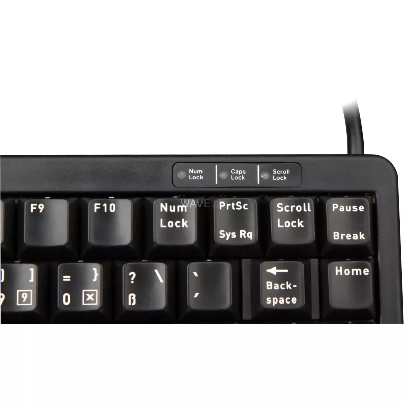 CHERRY G84-4100 klaviatuur Universal USB QWERTZ German Must