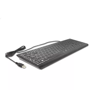 DeLOCK 12170 klaviatuur universaalne USB QWERTZ saksa must mehaaniline RGB