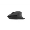 Natec Wireless hiir Siskin 2 BT 5.0 + 2.4GHZ