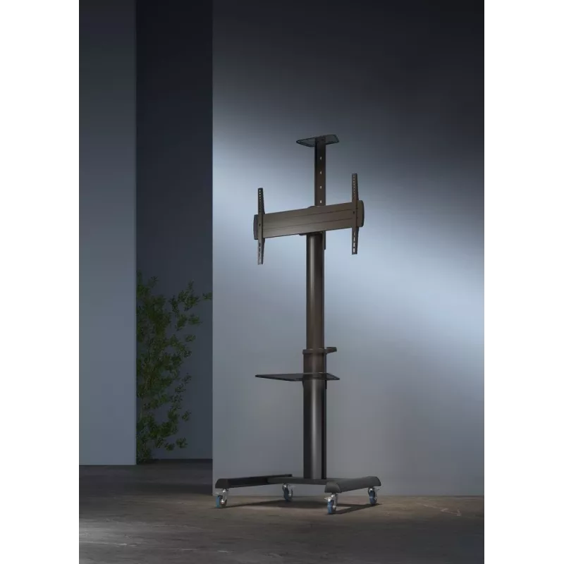 Põranda TV-alus Gembird TVS-70T-02 ekraanidele 37 tolli kuni 70 tolli, max 70 kg, VESA 200x200–600x400, kaldenurk ±5°/−12°, kõrguse reguleerimisega, rattad, kaablihaldus