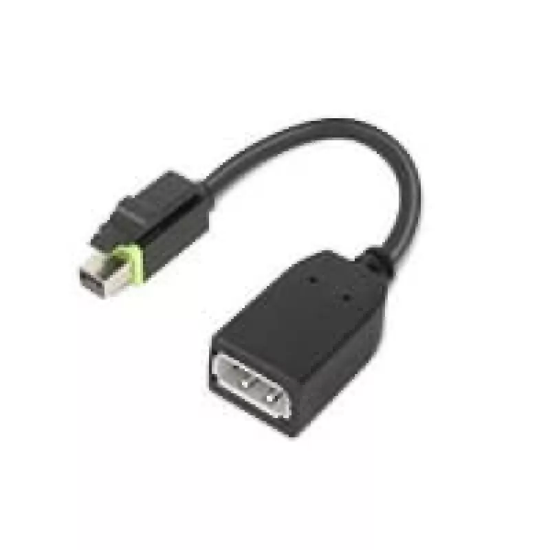 Lenovo 4X90Q93975 videokaabli adapter Mini DisplayPort DisplayPort Must