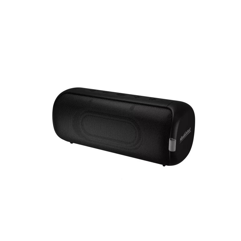Stereo kaasaskantav kõlar Audictus Aurora Pro 20 W