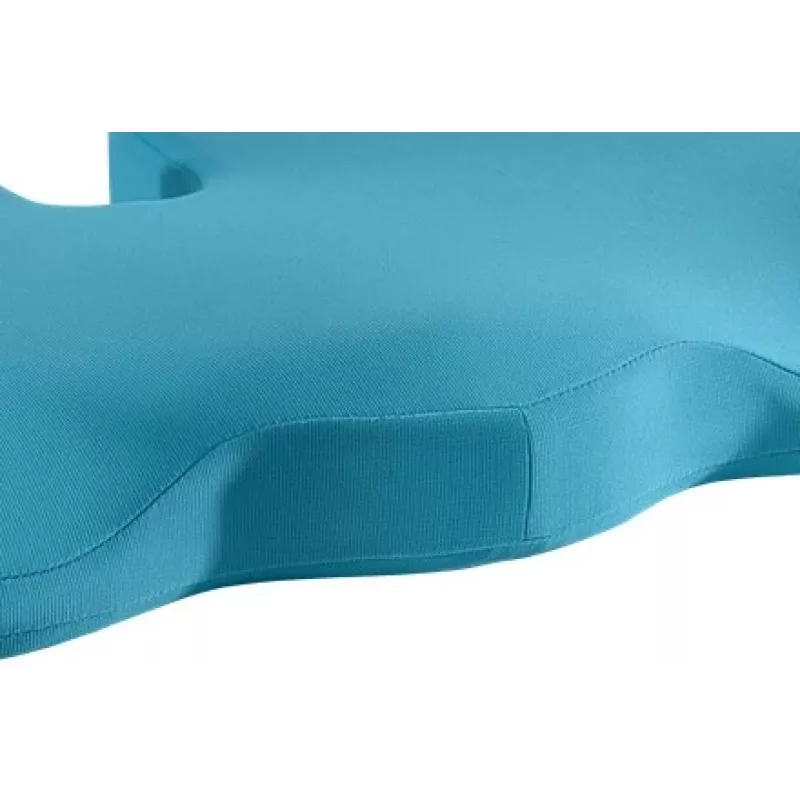 Leitz Ergo Cosy istmepadi, Istmepadi, Universaalne, Sinine, Kiiljas, Monokroomne, Tõmblukk