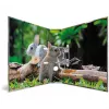 HERMA 19252 ring binder A4 Mitmevärviline D-rõnga Hoiustamine