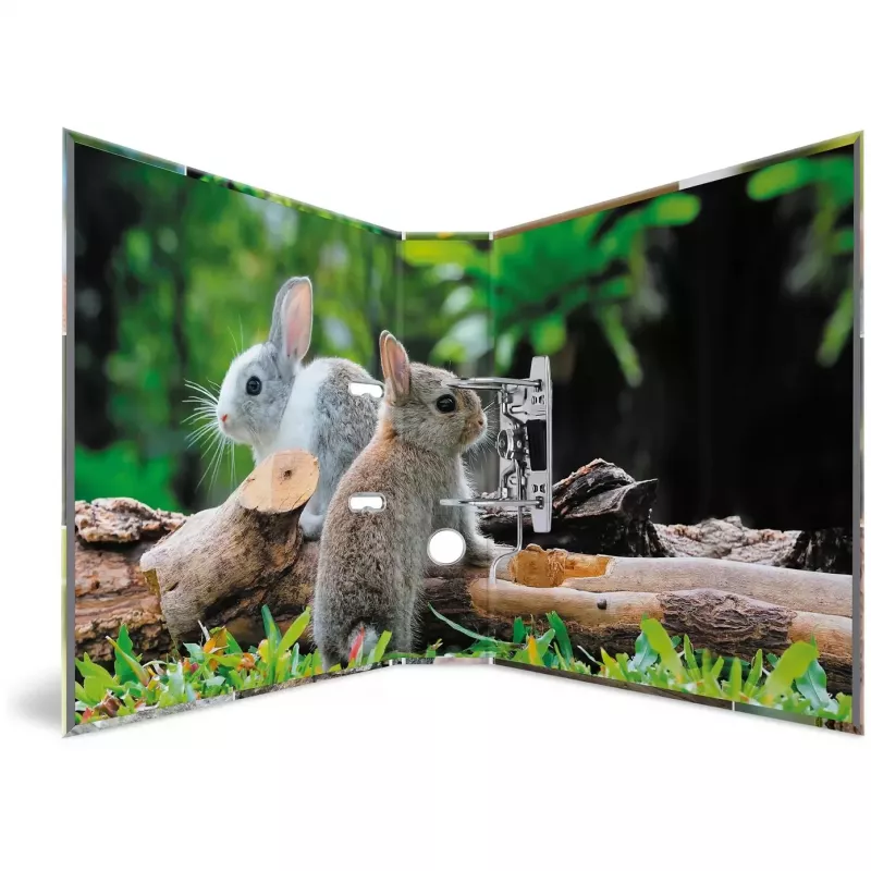 HERMA 19252 ring binder A4 Mitmevärviline D-rõnga Hoiustamine