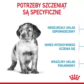 Royal Canin Medium Puppy kuivtoit kutsikatele 4 kg, mais, linnuliha