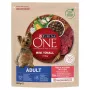 Kuiv koeratoit Purina Nestle Mini Adult Beef & Rice 800 g — kuivkibble väikestele täiskasvanud koertele, 27% valku, 17% rasva