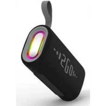 Stereo portable speaker 2GO Two