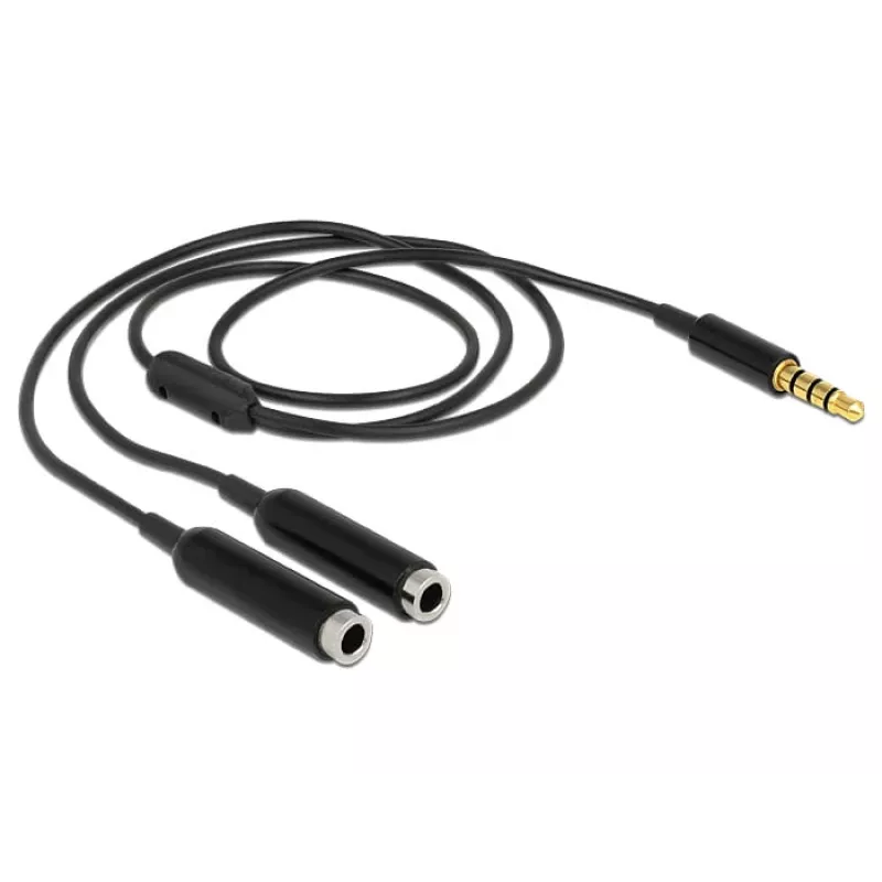 DeLOCK 65575 helikaabel 0,25 m 3,5 mm pistik 2 x 3,5 mm pesa must