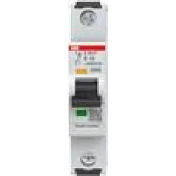 ABB S301P-B10 - miniatuurkaitselüliti - tüüp B - IP20 (2CDS381001R0105)