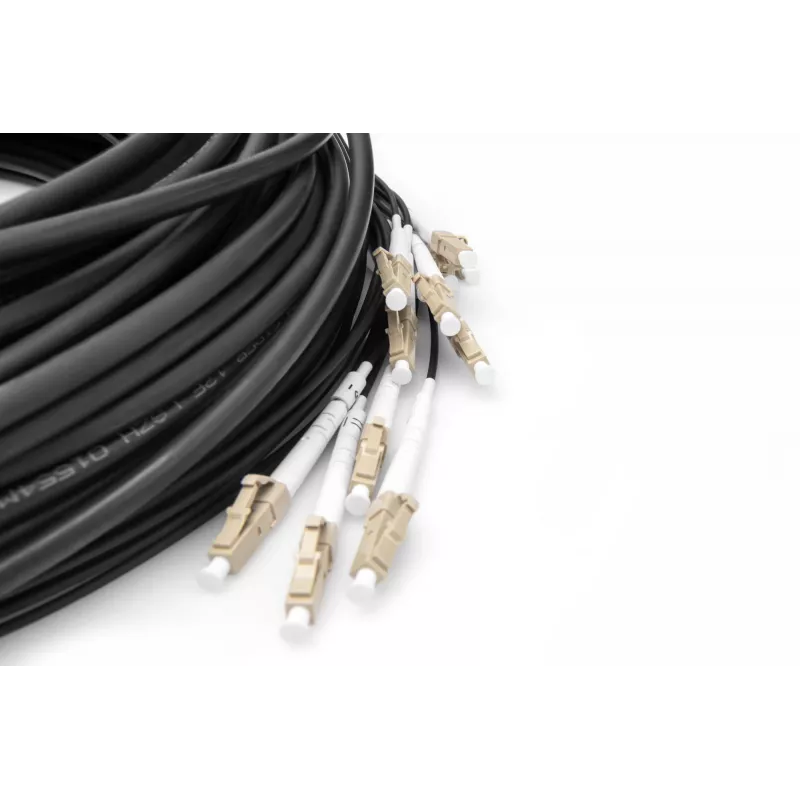 Breakout kaabel Digitus DK-2433CU030BK-BBB 30m OM4 12 Fibers LC/UPC