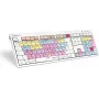 Klaviatuur Logickeyboard LKB-PT-CWMU-FR Office USB AZERTY prantsuse mitmevärviline