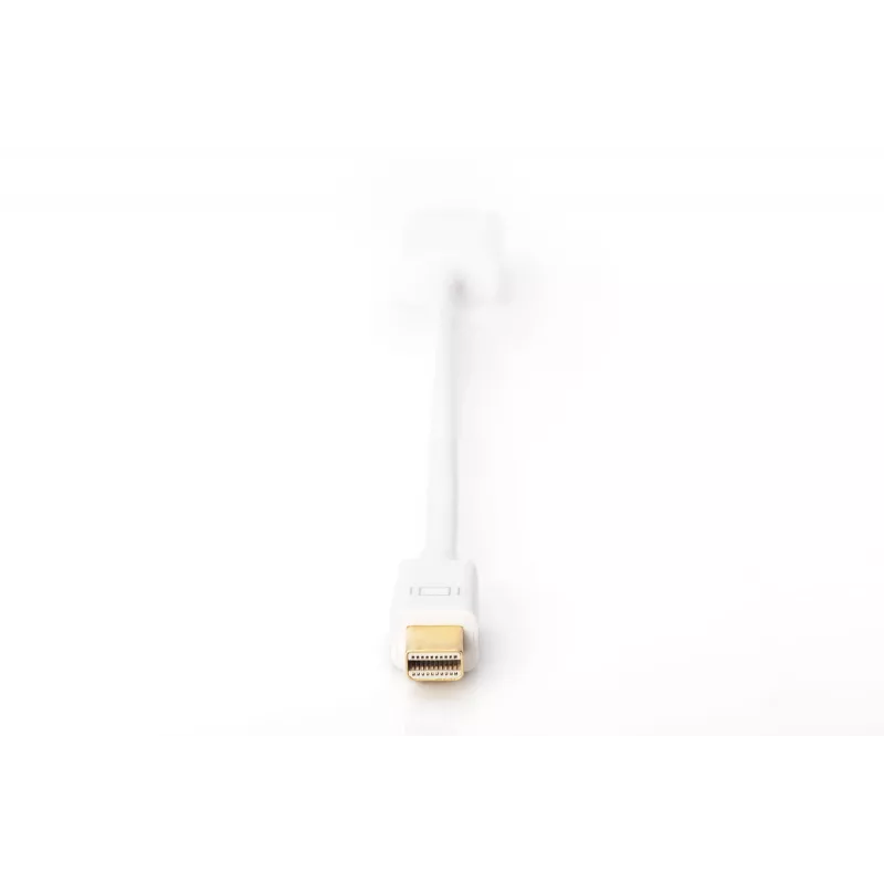 DisplayPort adapterkaabel Digitus Mini DP HDMI Type A-sse