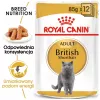 Märg kassitoit Royal Canin British Shorthair Adult kotike 85 g, linnuliha, ROYAL CANIN Feline Breed Nutrition