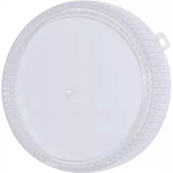 Asendusvärvikupel EUROLITE Techno Strobe 94202020-le — 205 mm läbipaistev