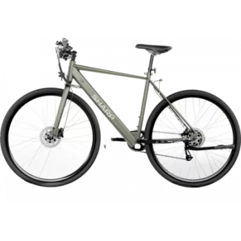 Sharp Gravel E-Bike 250W Motor App 70km Green glanz