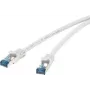 Võrgukaabel Renkforce RJ45 CAT 6a S/FTP 0,25 m Hall