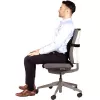 Tugi seljatoele PLUSHTOUCH/LUMBAR 8026501 FELLOWES