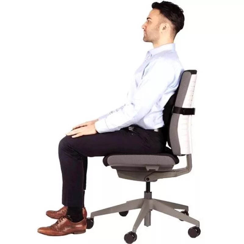 Tugi seljatoele PLUSHTOUCH/LUMBAR 8026501 FELLOWES