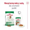Kuiv koeratoit Royal Canin Adult Mini S 8 kg — täisväärtuslik toitumine väikestele täiskasvanud koertele