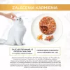 Märg kassitoit kotikesed Purina Gourmet Gold Savoury Cake Mix 48×85 g, täiskasvanud, 74% niiskus, 17% valk