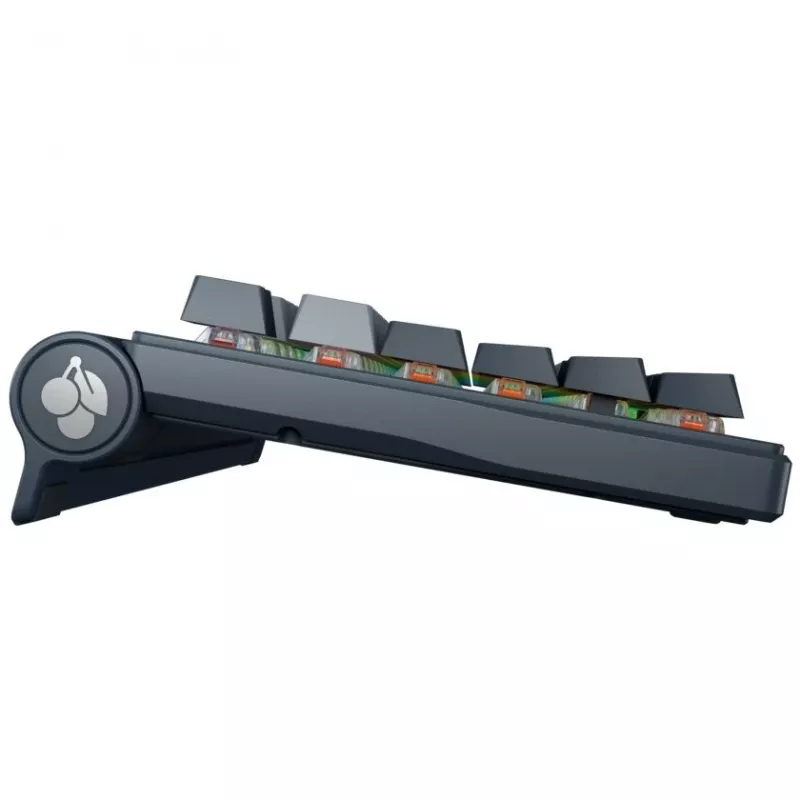 Mehaaniline klaviatuur Cherry MX 8.3 Wireless RGB Red Switch DE paigutus
