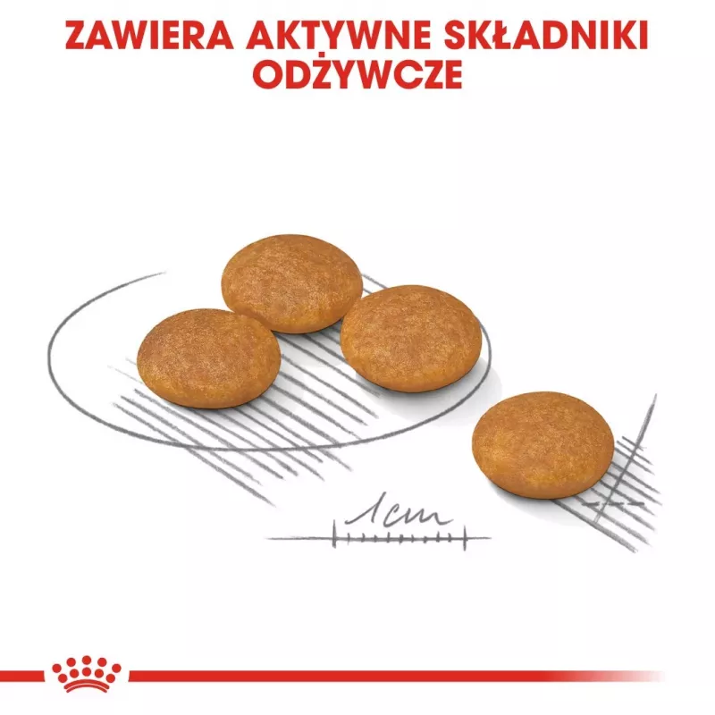 ROYAL CANIN Mini Dermacomfort - kuivtoit tundliku ja ärritusele kalduva nahaga täiskasvanud väikest tõugu koertele - 3 kg