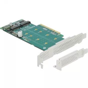 DeLOCK PCI Express x8 kaart 2-le sisemisele NVMe M.2 Key M -le, bifurkatsioon, madalprofiil