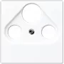 Satelliidi/TV/raadio seinakate Jung A 561 BFPLSAT WW valge, termoplast, 1-kohaline
