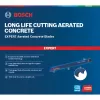 Bosch Expert 2 608 900 410 tikksae/pendelsae/pendelsae tera karbiidist 1 tk