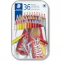 Värvipliiatsid Staedtler 175 Mitmevärviline 36 tk