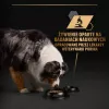 PURINA Pro Plan Everyday nutrition Kõik suurused Täiskasvanud Türgi tarretises - märg koeratoit - 400g