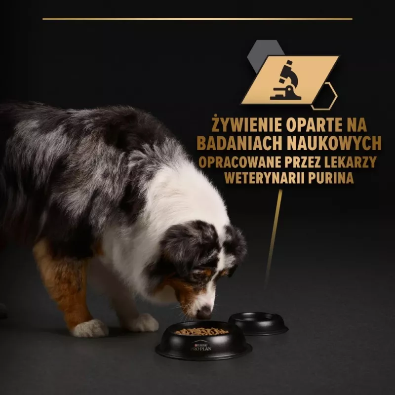 PURINA Pro Plan Everyday nutrition Kõik suurused Täiskasvanud Türgi tarretises - märg koeratoit - 400g