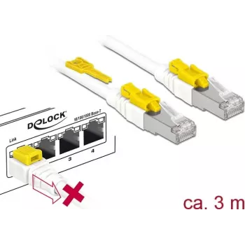 Võrgukaabel DeLOCK 85333 RJ-45 Cat6a 3m Valge