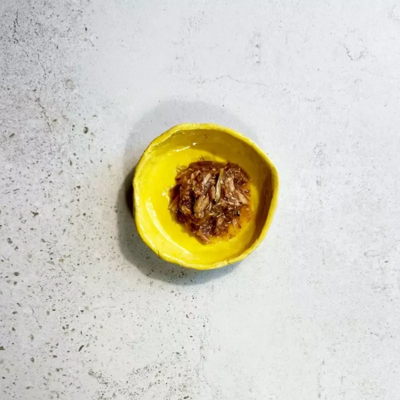 Ollo Tuunikala anšoovisega puljongis Nr 9 70g