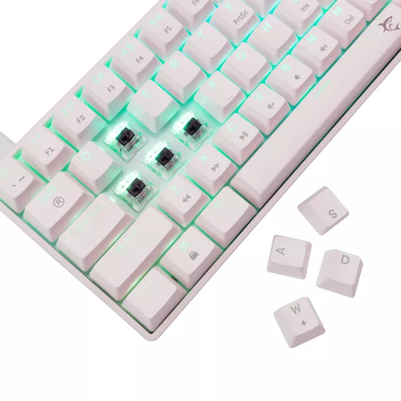 Mehaaniline klaviatuur White Shark Shinobi-2 Brown Switch US layout — kompaktne disain, pruunid lülitid